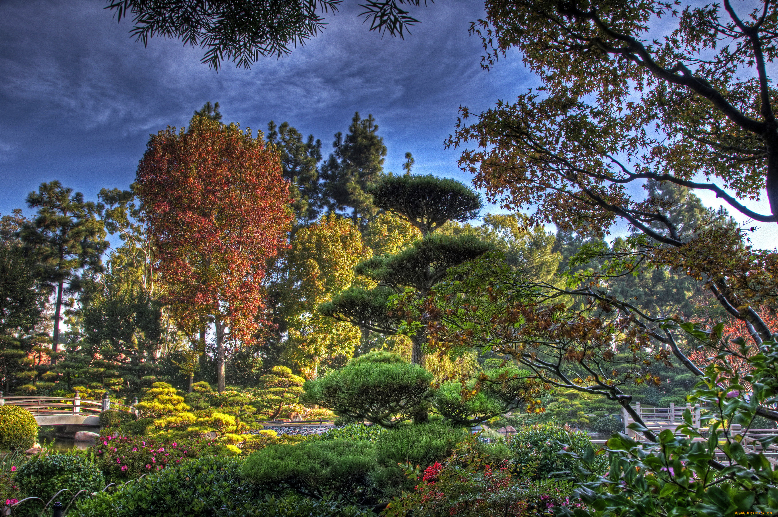 earl, burns, miller, japanese, garden, california, usa, , , , , 